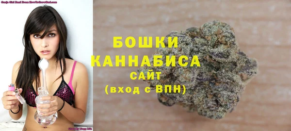 прущие крисы Дмитровск