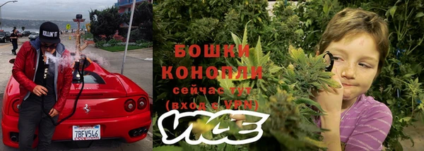 МДПВ Гусиноозёрск