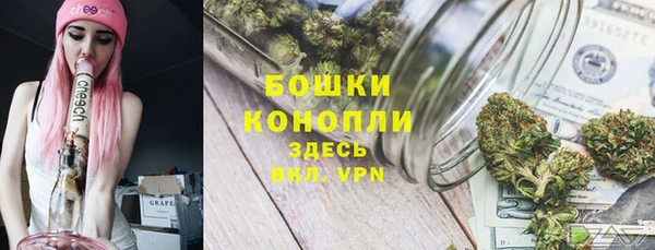 бутират Дмитриев