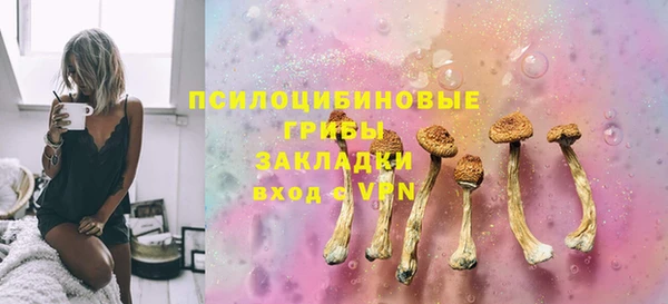 МДПВ Гусиноозёрск