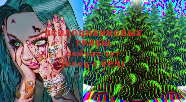 прущие крисы Дмитровск