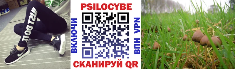где купить наркоту  Козьмодемьянск  Галлюциногенные грибы Psilocybe 