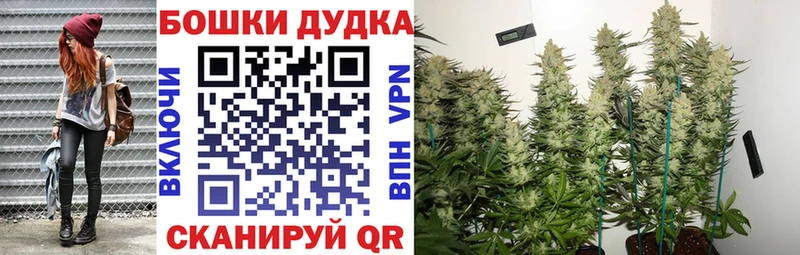 ОМГ ОМГ ССЫЛКА Козьмодемьянск Бошки Шишки сатива